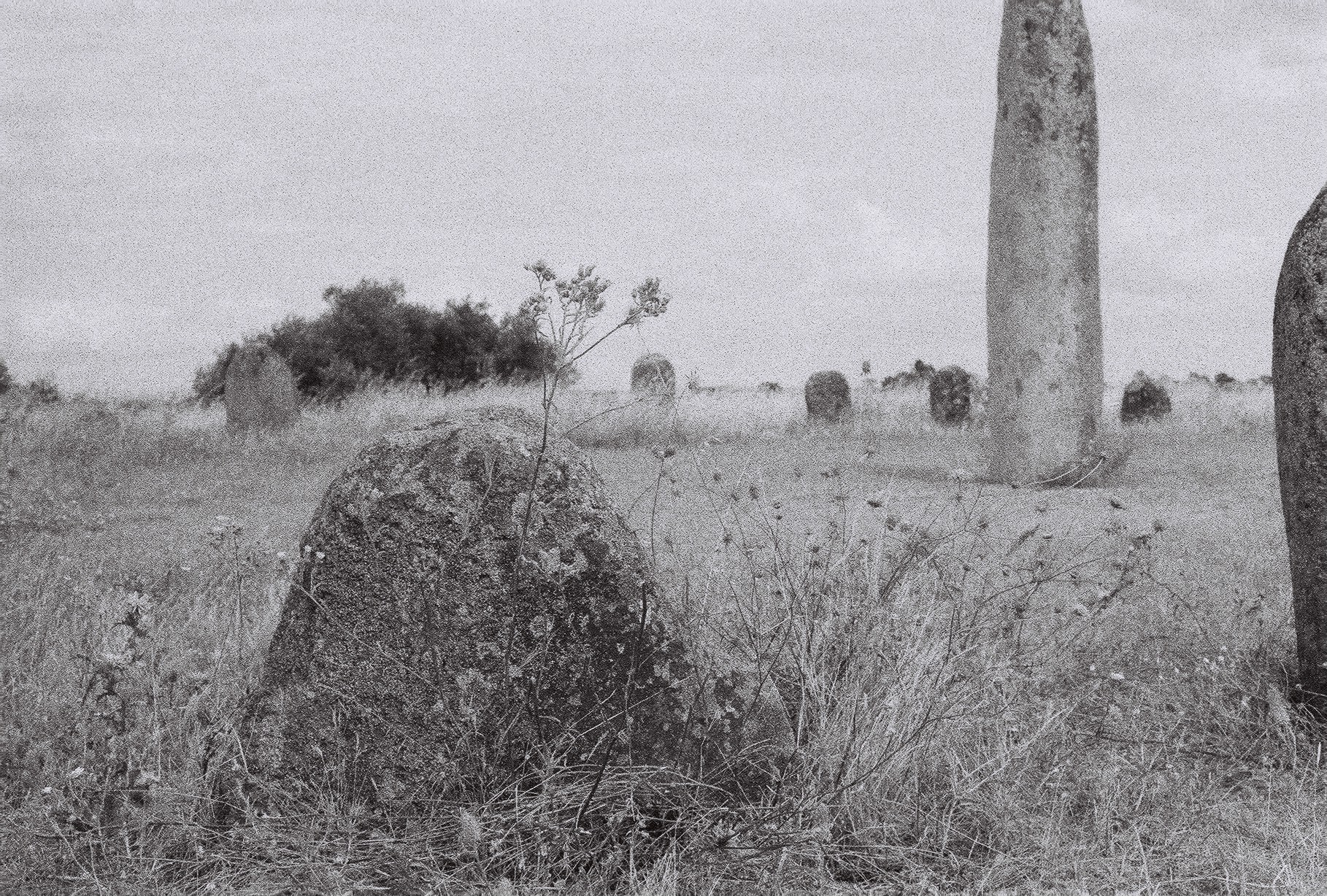Nuno Vicente cromeleque do xerez