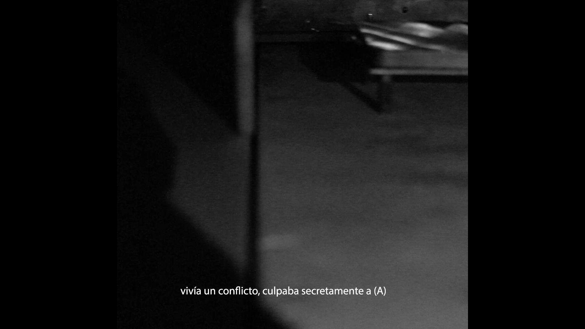 The amateur ornithologist – Nuno Vicente